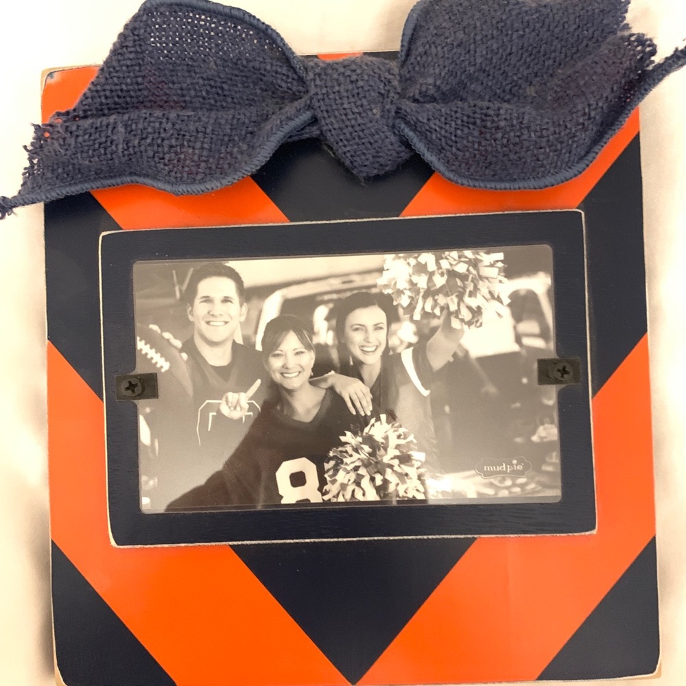 Auburn colored chevron picture frame